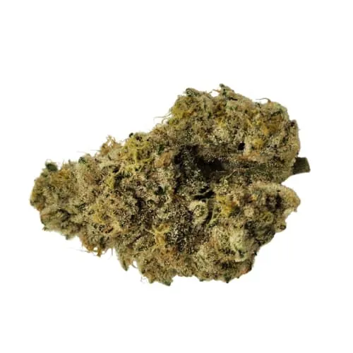 Product image of French Cookies - Ritual Green - Dried Flower