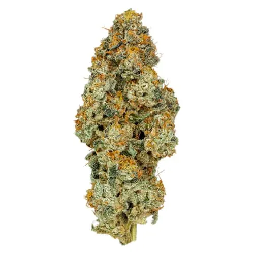 Product image of Axess 14g Dried Flower