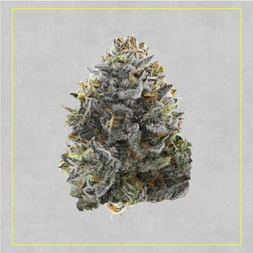 Product image of Burner Phone Special - Next Friday - Dried Flower