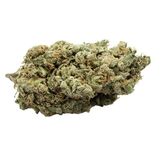 Product image of Top Up - Clementine