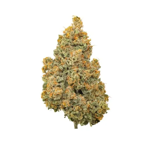 Product image of BC Organic Lucy In The Sky 3.5g - COAST MOUNTAIN CANNABIS