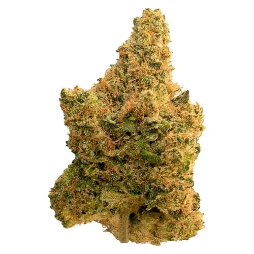 Product image of BIG - BIG Banana - Dried Flower