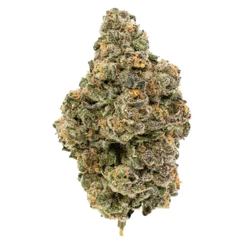 Product image of BC Organic White Rainbow 14g Dried Flower