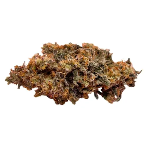 Product image of Pheno Safari 3.5g - PALM GARDENS