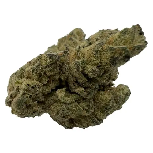 Product image of Apples and Bananas - Common Ground - Dried Flower