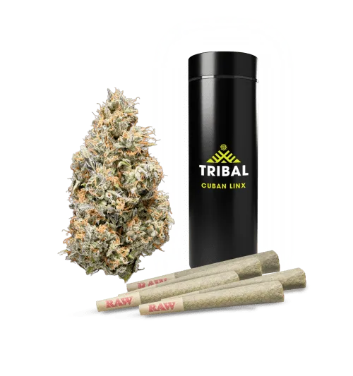 Product image of Tribal - Pre-Roll - Cuban Linx