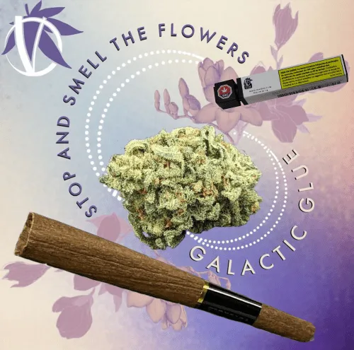 Product image of Virtue Cannabis - Pre-Roll - Galactic Glue