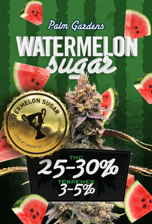 Product image of Watermelon Sugar - Palm Gardens - Joints