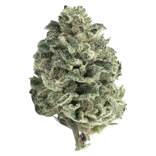 Product image of Tantalus - Mai Tai x Zero Gravity