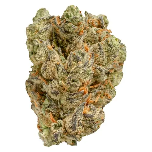 Product image of Peach Tree - Pepe - Dried Flower