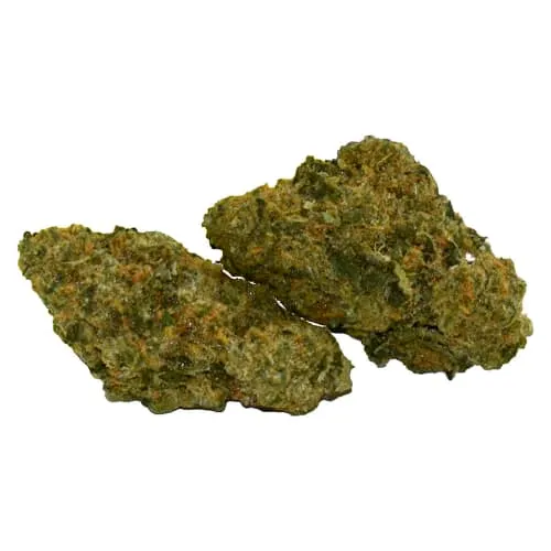 Product image of Sacred Sage - Ritual Green - Dried Flower