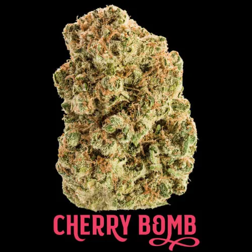 Product image of Cherry Bomb - Jonny Chronic - Dried Flower