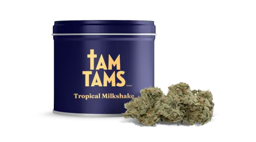 Product image of Tropical Milkshake - Tam Tams - Dried Flower