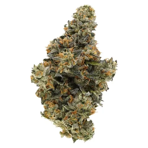 Product image of Simply Bare - BC Organic Hollywood Mac