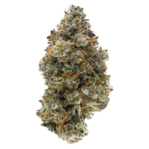 Product image of BC Organic Mind Flayer 28g Dried Flower