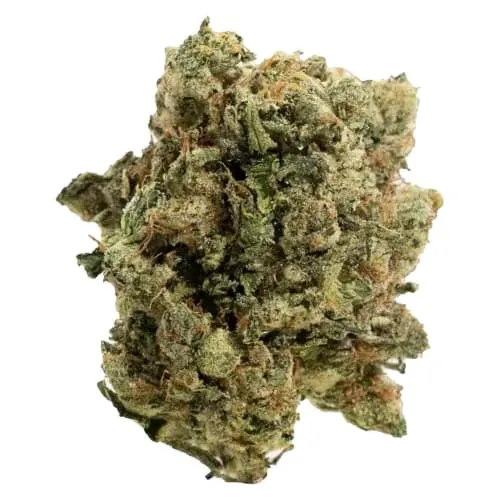 Product image of Handy Dandies - ITSY BITSY TIPSY WHOLE FLOWER
