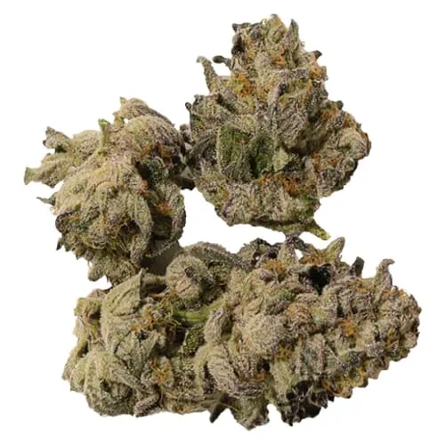 Product image of Cappuccino - Castle Rock Farms - Dried Flower