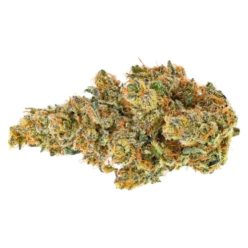 Product image of BC Organic Dancehall 14g Dried Flower