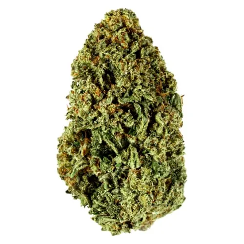 Product image of Blueberry - Divvy - Dried Flower