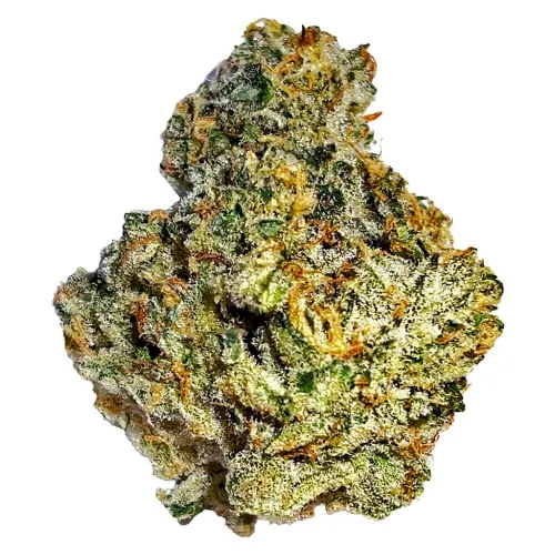 Product image of Motorbreath 3.5g Dried Flower (C)  - Cannabis Cartel