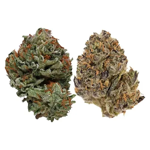 Product image of Rosin Heads - Peanut Butter and Jelly- Dried Flower