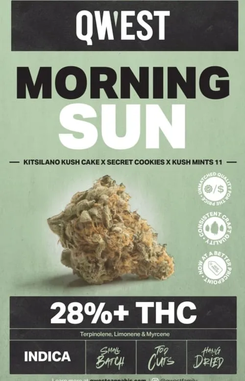 Product image of Morning Sun 28g - QWEST