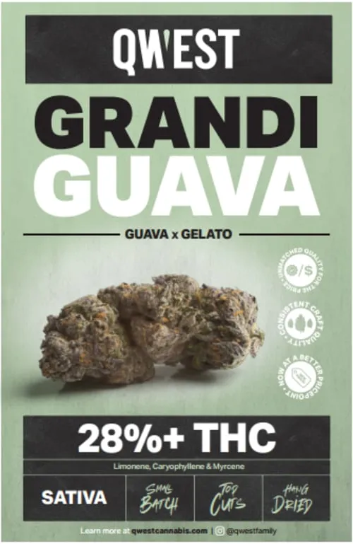Product image of Grandi Guava 28g - QWEST