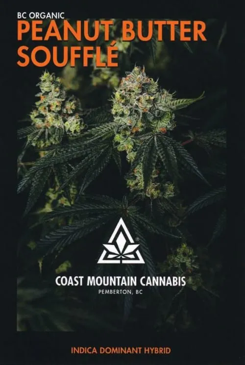 Product image of Coast Mountain Cannabis - Pre-Roll - BC Organic Peanut Butter Souffle