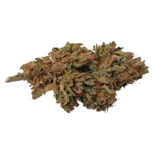 Product image of HCBD ORGANICS - Ambassador Organic Craft CBD Flower