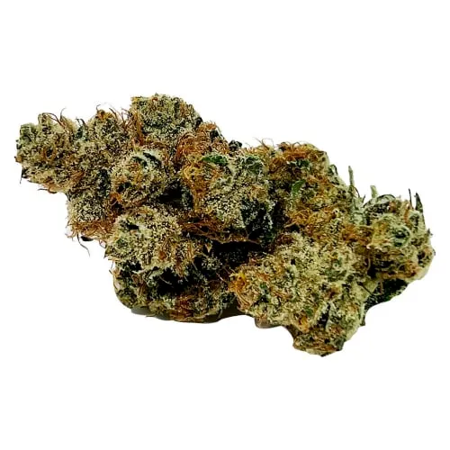 Product image of Mmmosa Evo - CALI - Dried Flower