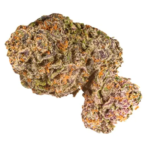 Product image of Donkey Ballz - Phant Craft - Dried Flower