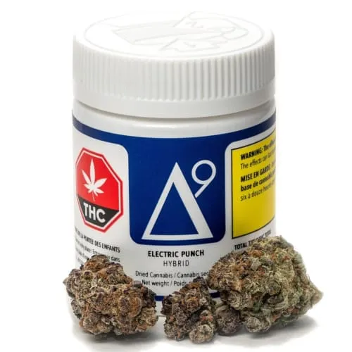 Product image of Electric Punch - Delta 9 - Dried Flower