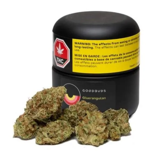Product image of Gluerangutan - Good Buds - Dried Flower