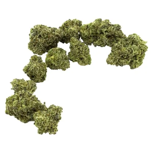 Product image of Community C/O Purple Hills - Archives