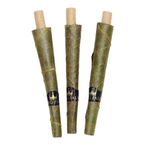 Product image of King Palm, Cones Rollie
