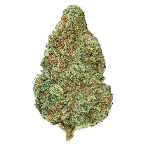 Product image of Chemzilla - Back Forty - Dried Flower