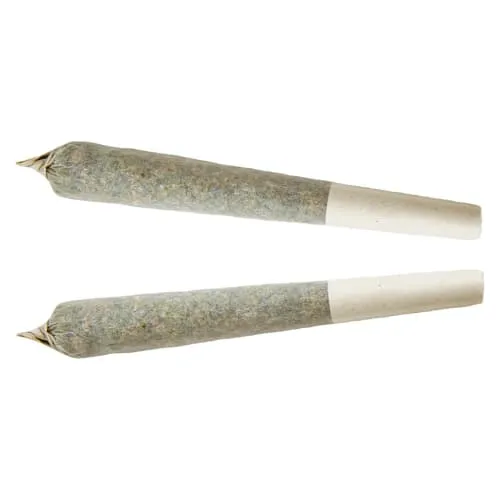 Product image of Indica- XPLOR 2x1g Pre-Rolls