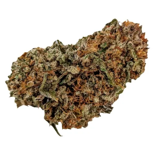 Product image of Mullet - Dirtbag - Dried Flower