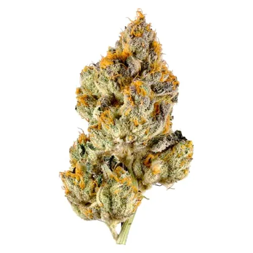 Product image of Spacewalker OG 1g Dried Flower - 3Saints