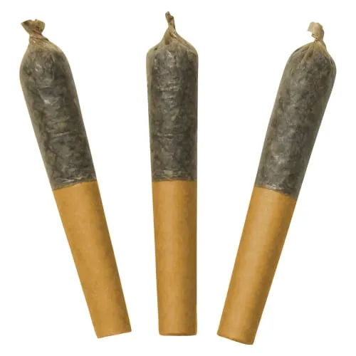 Product image of Watermelon Mojo 60s+ Dbl Infused - Dab Bods - Infused Joints