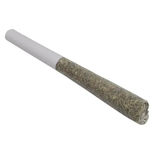 Product image of Minty Melon Pocket 1 x 0.5g Infused Pre-Roll - DIME BAG