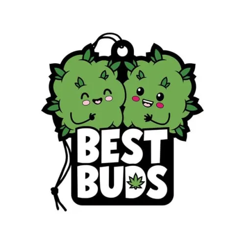 Product image of Car Air Freshener