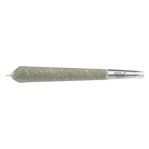 Product image of 1Spliff Reserve - Quantum Kush Premium Glass Tip Pre-Roll