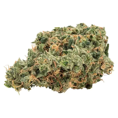 Product image of Ultra Jean-G - Big Bag O' Buds - Dried Flower