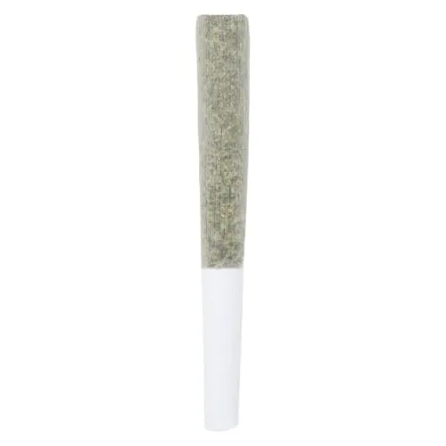 Product image of 3rd Coast Genetics - Black Truffle Pre-Roll
