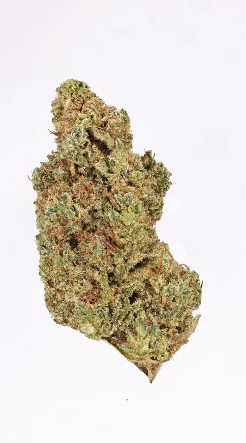 Product image of Buzz'd - Honeycomb Haze