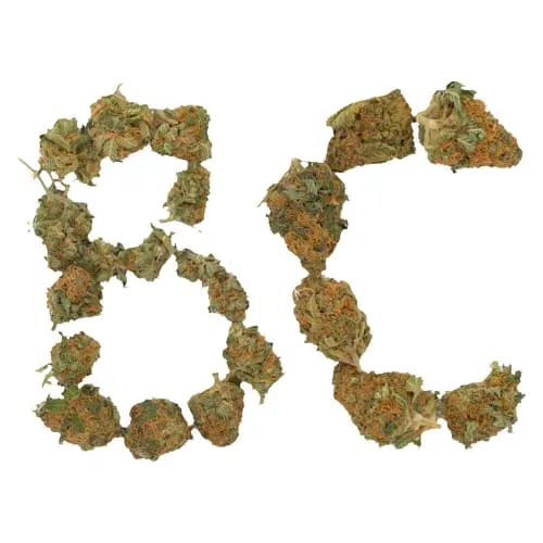 Product image of Always Hi - BC Indoor Sativa