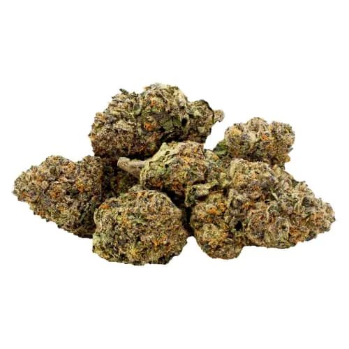Product image of Jealousy x Biscotti  7g Dried Flower - SMOKESTACK