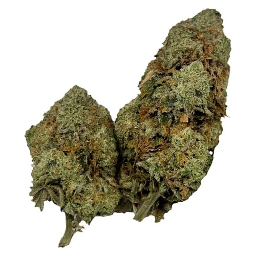 Product image of Honah Lee Haze - Puffer's Paradise - Dried Flower