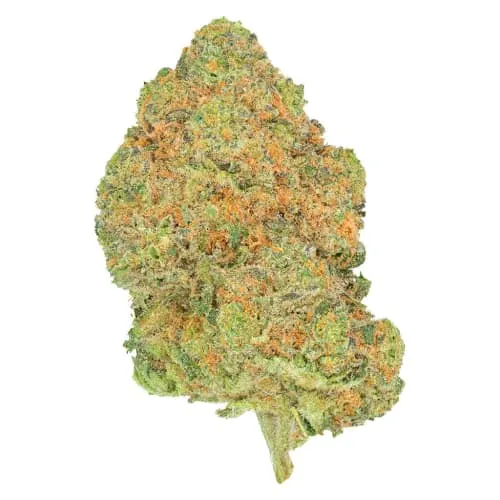 Product image of San Raf - Black Jelly